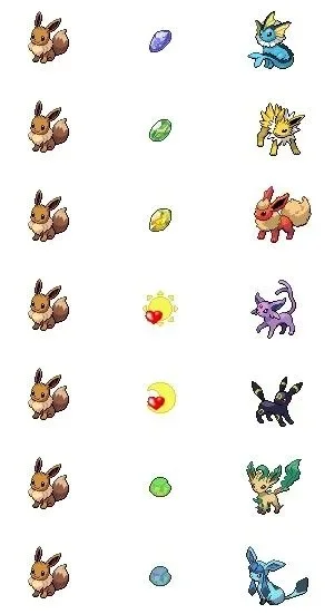 口袋妖怪白金版：伊布捕捉与进化全攻略