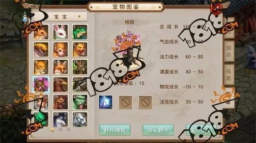 问道手游体木技能顺序，问道体木前期学什么技能