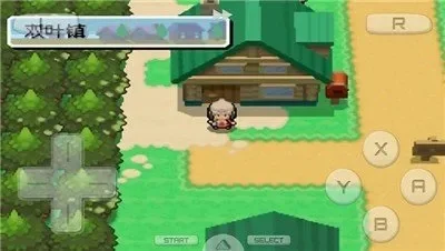 口袋妖怪：空之花神进化攻略与捕捉地点详解