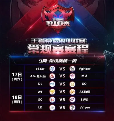 王者荣耀职业联赛：参赛指南与必备知识