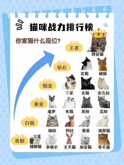 家养游戏宠物排行榜-宠物魅力趋势分析