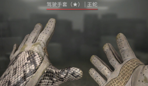 CSGO开手套箱子选择指南：如何挑选最合适的箱子？
