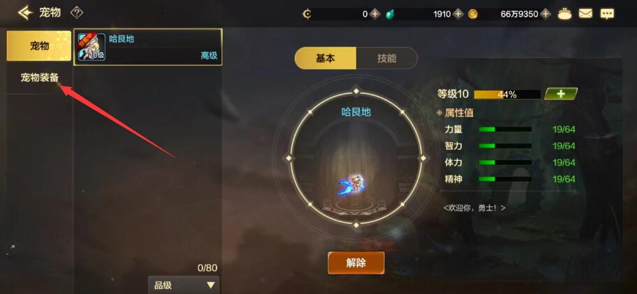 DNF手游宠物装备攻略：轻松上手，提升宠物战斗力