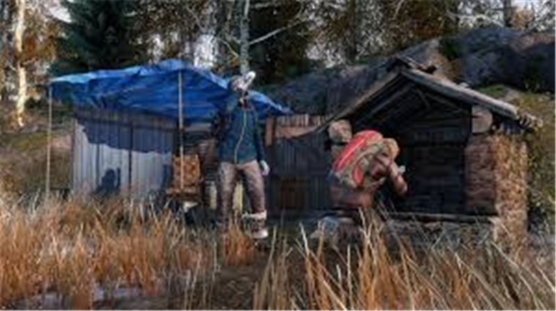 DayZ寒冬群岛DLC-Frostline：冰封挑战新体验