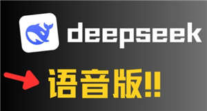 DeepSeek语音对话：像Siri一样解放双手，详细开启步骤与使用技巧