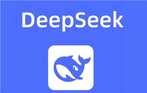 Deepseek服务器繁忙问题及联网搜索、深度思考功能解析