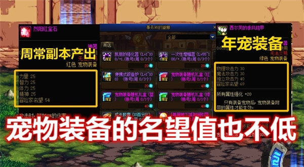 DNF名望值快速提升策略：护石、装备、勋章与宠物的全方位解析