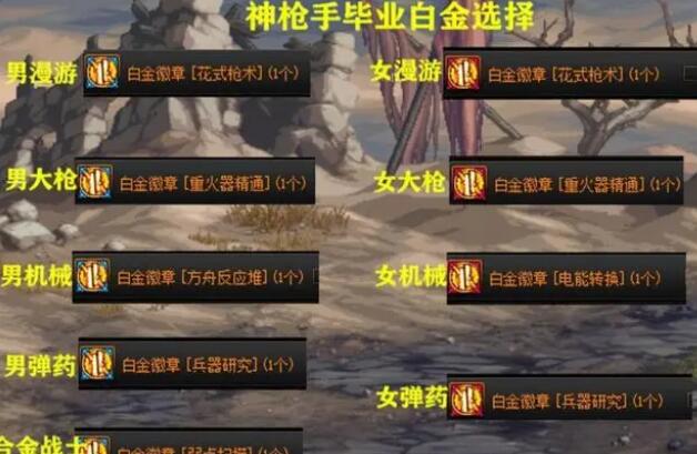 DNF周年庆全职业白金徽章推荐与解析