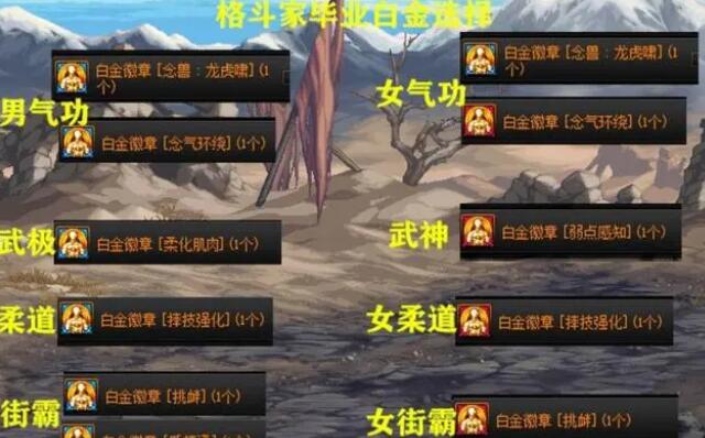 DNF全职业角色白金徽章怎么选