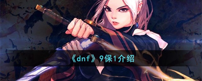 dnf9保1详解：是什么、利弊及适用职业