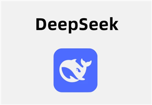 DeepSeek在线服务与API使用的区别及数据安全风险解析
