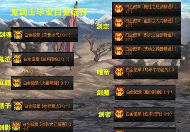 DNF周年庆全职业白金徽章推荐与解析