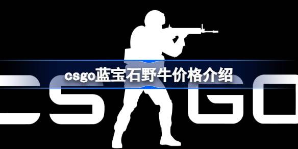 CSGO蓝宝石野牛价格全解析