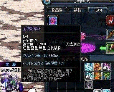DNF宠物幻化系统：值得幻化的经典宠物推荐