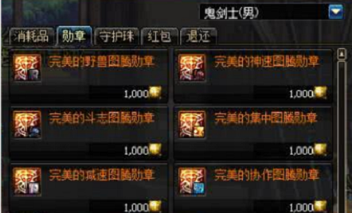 DNF公会勋章获取全攻略：从入会到刷图爆奖的详细步骤
