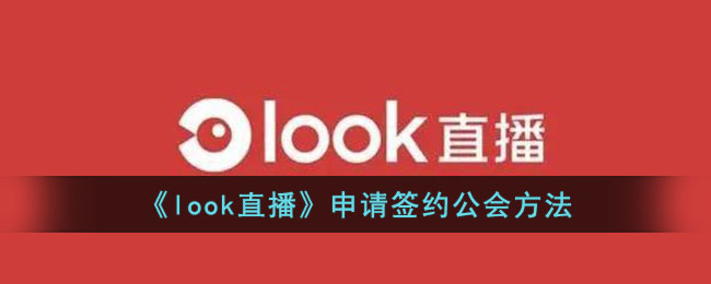 Look直播加入公会全攻略：申请签约步骤与注意事项