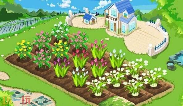 QQ空间玩转QQ农场的那些事儿