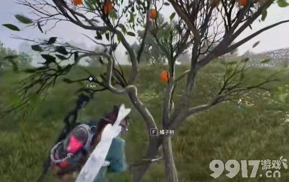 《七日世界》悬巢神秘宝箱位置详解与全图鉴