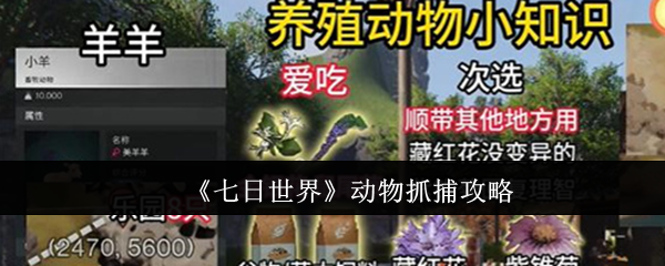 《七日世界》动物抓捕攻略：坐标与道具全解析