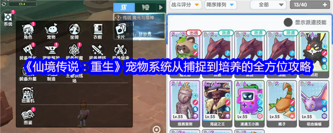 《仙境传说：重生》宠物系统：从捕捉到培养，打造最强战斗与收集小队