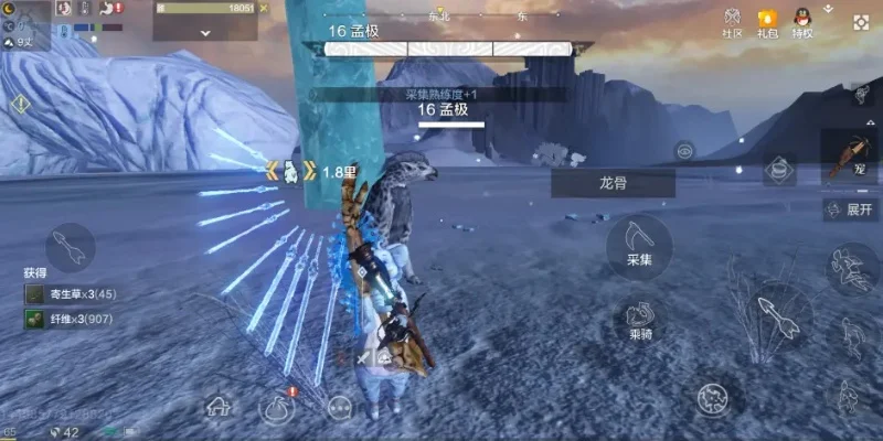 《妄想山海》龙骨草刷新点位置一览-《妄想山海》龙骨草刷新点