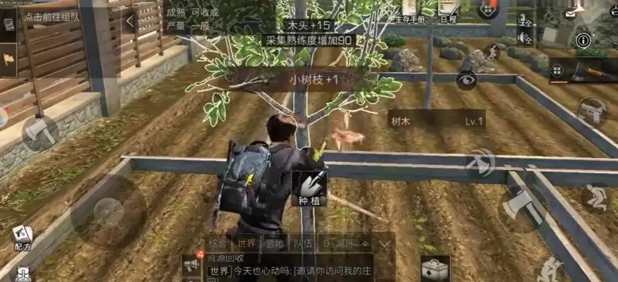 《明日之后》小树枝作用详解-明日之后小树枝详解