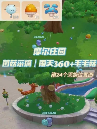 《摩尔庄园手游》毛毛菇在哪里毛毛菇位置分享-摩尔庄园毛毛菇攻略
