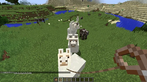 《我的世界》羊驼驯服教程-羊驼驯服全攻略