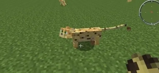 《我的世界》豹猫驯服方法详解-我的世界豹猫驯服法