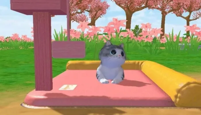 创造与魔法猫王怎么来的-猫王怎么捕捉