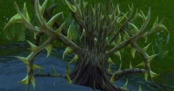 《魔兽世界》怀旧服WLK荆棘藻位置介绍-WLK荆棘藻采集攻略