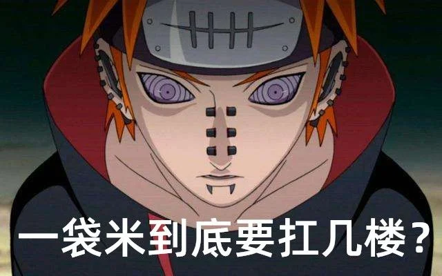 一袋米要抗几楼什么意思-生存挑战资源有限