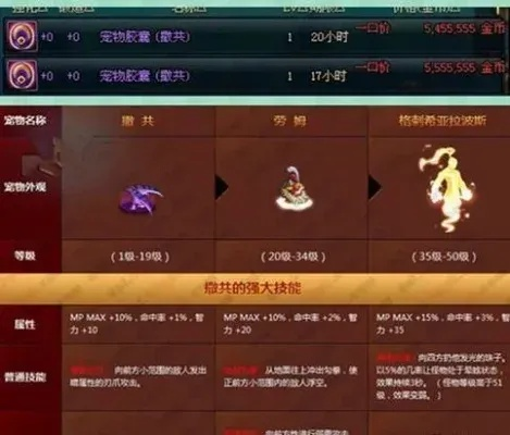 DNF宠物快速升级指南：从菜鸟到高手的保姆级教程