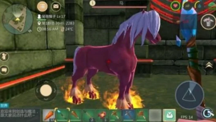 创造与魔法红马饲料攻略制作方法分享