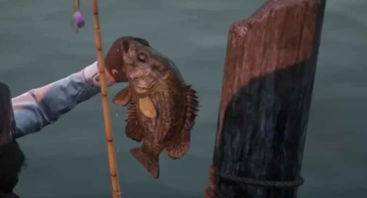 荒野大镖客2岩钝鲈位置分享