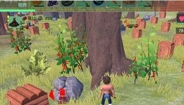 创造与魔法辣椒哪里多辣椒分布采集地点推荐-创造魔法辣椒采集点