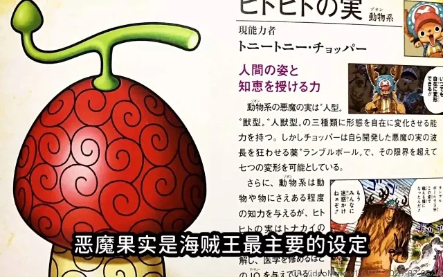 海贼之果实无敌-果实无敌机制解析