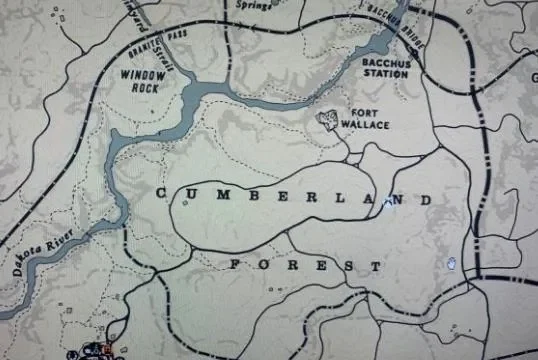 荒野大镖客2华莱士堡在哪里位置详细介绍-华莱士堡攻略详解