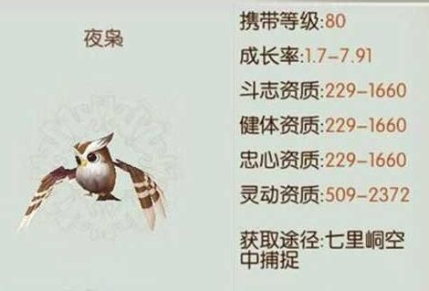 诛仙夜枭坐标多久刷一次