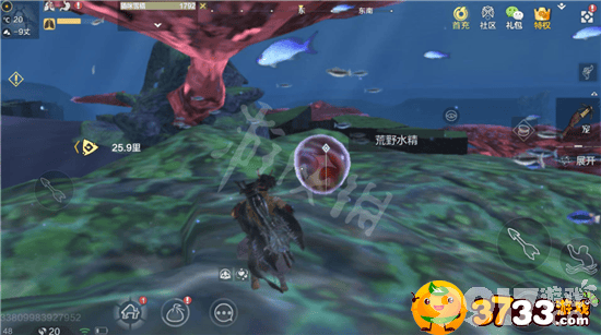 妄想山海碧水珠采集全攻略