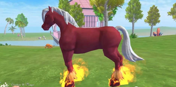 创造与魔法红马和陆行鸟对比：哪个更适合你？