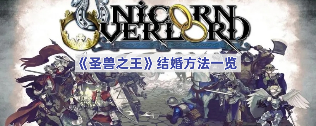 圣兽之王结婚全攻略：条件、流程及影响深度解析