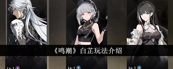 《鸣潮》白芷玩法全攻略：技能解析、装备搭配与实战阵容