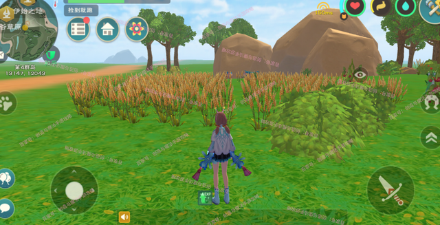 创造与魔法东星斑鱼食谱全解析