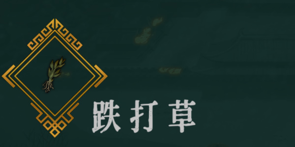 暖雪跌打草圣物效果全解析