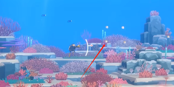 潜水员戴夫霞鲽鱼抓捕全攻略