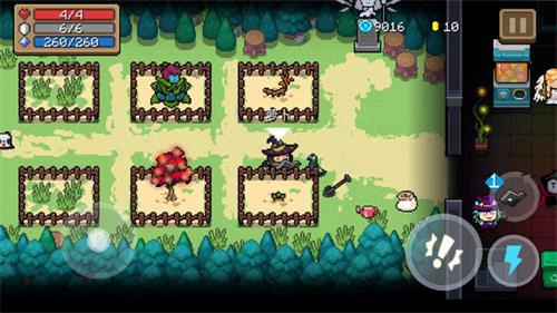 元气骑士花园种植全攻略：根据角色与需求灵活选择