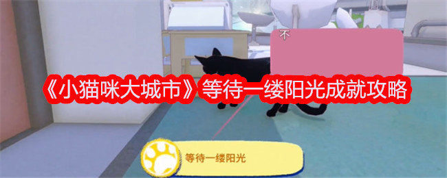 小猫咪大城市：阳光下的冒险与成就达成