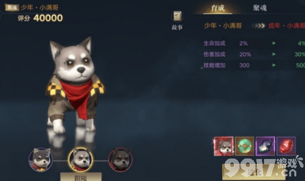 新盗墓笔记宠物进阶材料获取全攻略