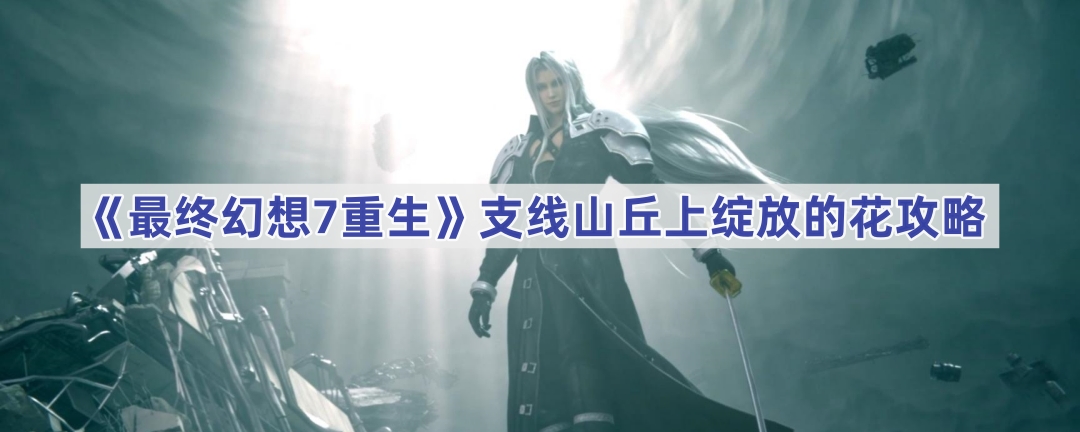 最终幻想7：重制版山丘上绽放之花任务攻略：如何获取所有花朵